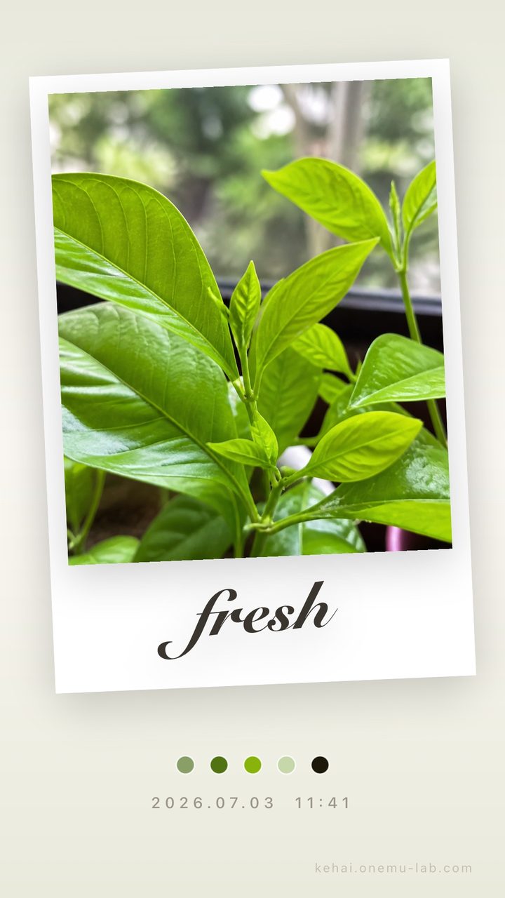 A Kehai mood card for a fresh moment